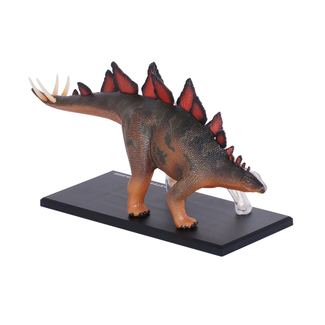 Научные игры, фокусы и опыты - Объемная модель 4D Master Стегозавр (FM-622016)#2