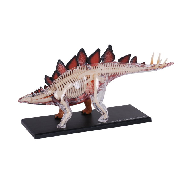 Научные игры, фокусы и опыты - Объемная модель 4D Master Стегозавр (FM-622016)#3