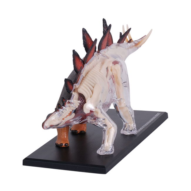 Научные игры, фокусы и опыты - Объемная модель 4D Master Стегозавр (FM-622016)#4