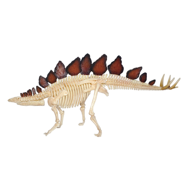 Научные игры, фокусы и опыты - Объемная модель 4D Master Стегозавр (FM-622016)#5