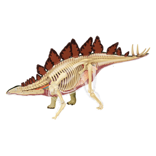 Научные игры, фокусы и опыты - Объемная модель 4D Master Стегозавр (FM-622016)#6