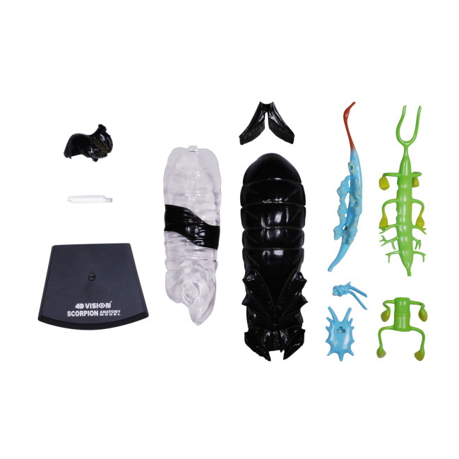 Научные игры, фокусы и опыты - Объемная модель 4D Master Скорпион (FM-622033)#7