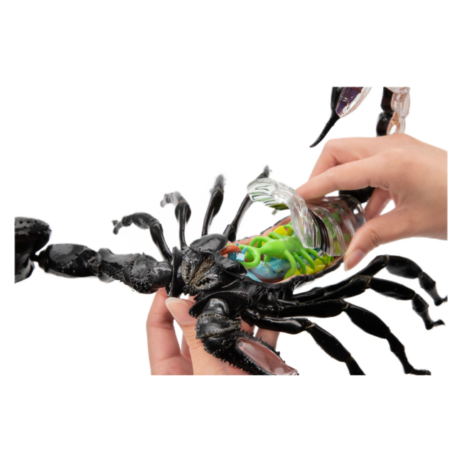Научные игры, фокусы и опыты - Объемная модель 4D Master Скорпион (FM-622033)#8