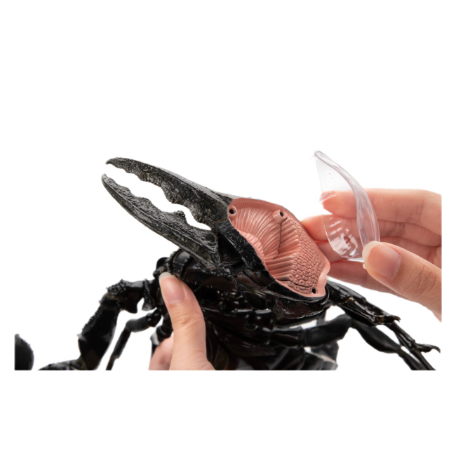 Научные игры, фокусы и опыты - Объемная модель 4D Master Скорпион (FM-622033)#9