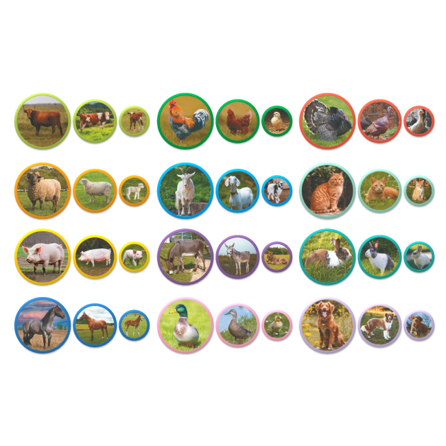 Развивающие игрушки - Магнитный набор DoDo Монтессори Семьи животных: ферма (200271)#2