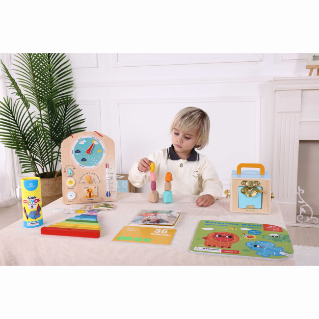 Развивающие игрушки - Развивающая игрушка Tookytoy Бизикуб и доска-погода (TK755)#3