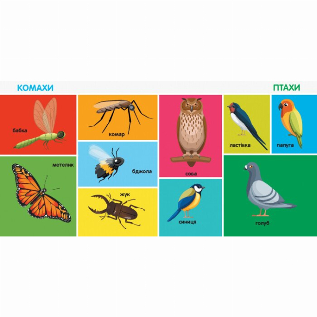 Книги для самых маленьких (0-3 года) - Книжка «100 перших слів​» (9786170952950)#3