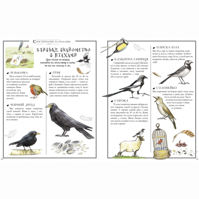 Познавательные книги (4-10 лет) - Книжка «Boys' Book. Підручник відважного мандрівника» (9786178253738)#5