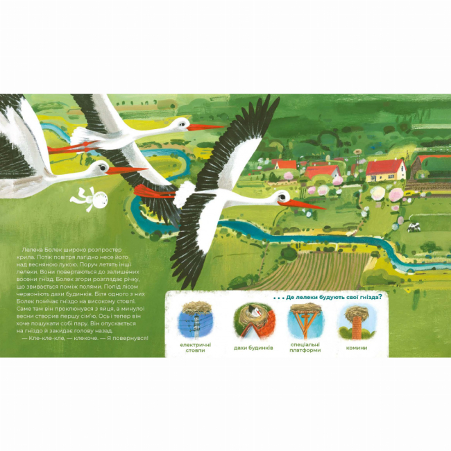 Художня література для дітей (7-13 років) - Книжка «Тулі-Тулі. Дух-опікун тварин розповідає історії про них​» Зоф'я Станецька (9786178318222)#2