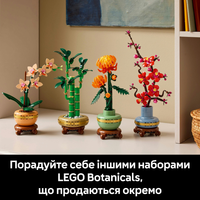 Конструктори LEGO - Конструктор LEGO Botanicals Міні орхідея (10343)#10