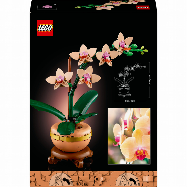 Конструктори LEGO - Конструктор LEGO Botanicals Міні орхідея (10343)#3