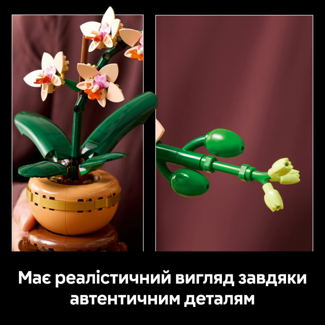 Конструктори LEGO - Конструктор LEGO Botanicals Міні орхідея (10343)#7