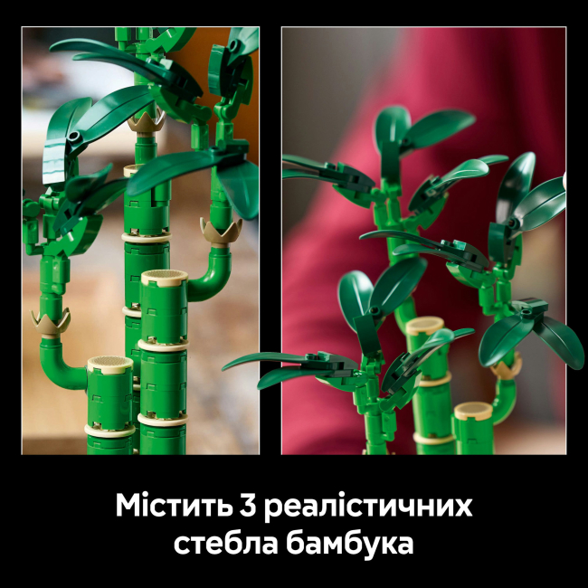 Конструкторы LEGO - Конструктор LEGO Botanicals Бамбук счастья (10344)#7