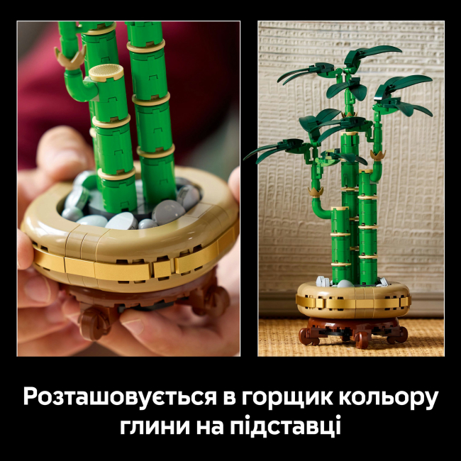 Конструкторы LEGO - Конструктор LEGO Botanicals Бамбук счастья (10344)#8