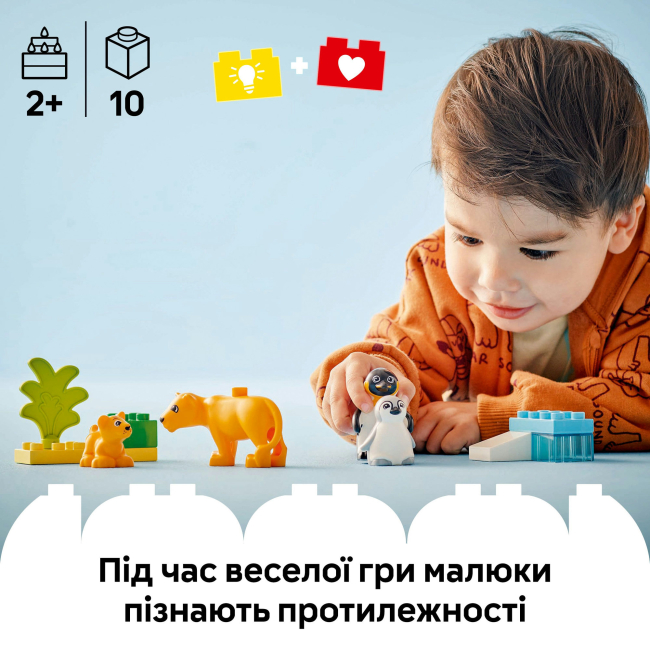 Конструктори LEGO - Конструктор LEGO DUPLO Сімейства диких тварин: Пінгвіни та Леви (10442)#5