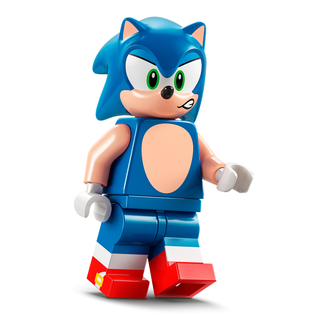 Конструктори LEGO - Конструктор LEGO Sonic the Hedgehog Зіткнення Соніка біля багаття (77001)#4