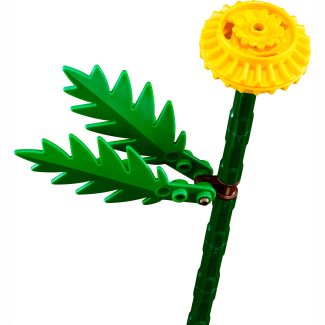 Конструктори LEGO - Конструктор LEGO Botanicals Польові квіти (30701)#4