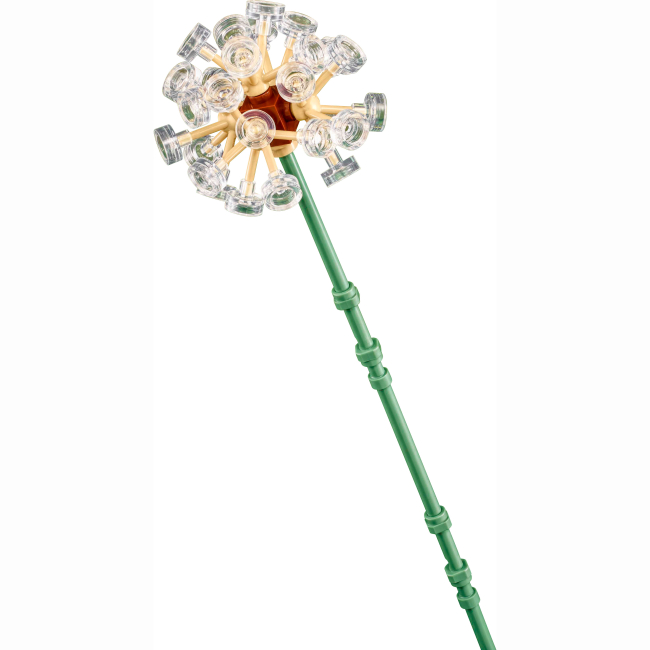 Конструктори LEGO - Конструктор LEGO Botanicals Польові квіти (30701)#6