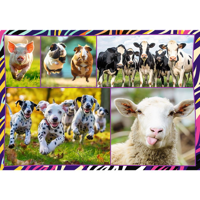 Пазли - Пазл Trefl Кумедні тваринки 4 х 250 елементів (13313)#2