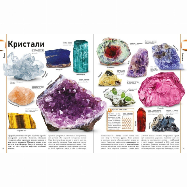 Познавательные книги (4-10 лет) - Книжка «Енциклопедії DK: Енциклопедія про все. Наш світ у малюнках» (9786170987754)#9