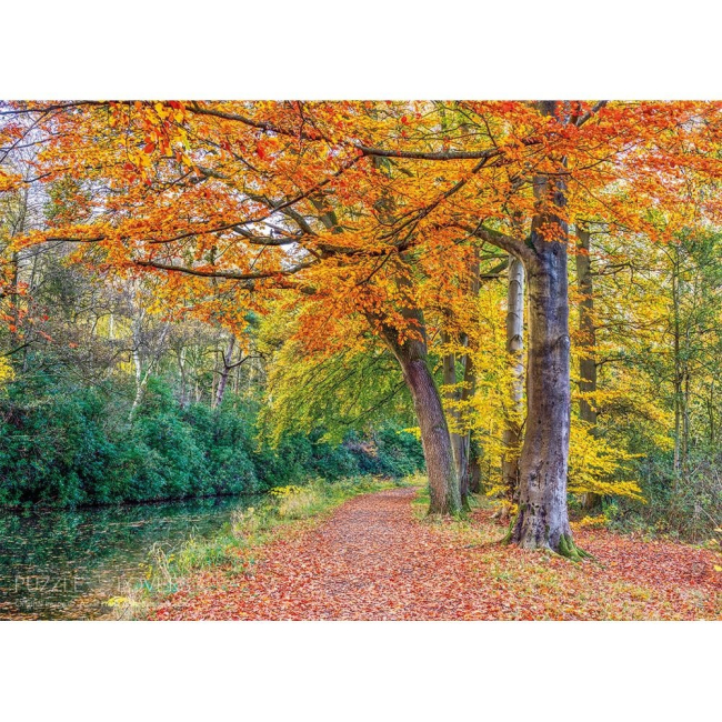 Пазлы - Пазл Tactic Тропа вдоль канала 1000 элементов (56238)#2