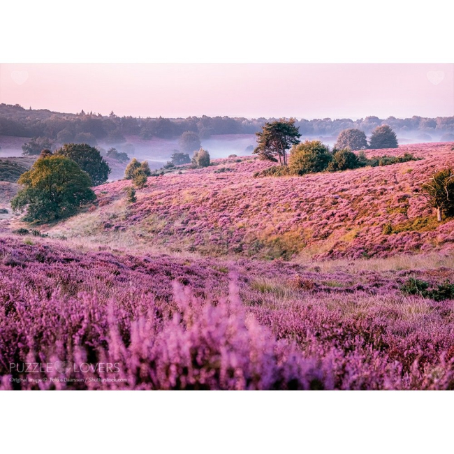 Пазли - Пазл Tactic Болота, вкриті вересом 1000 елементів (56750)#2