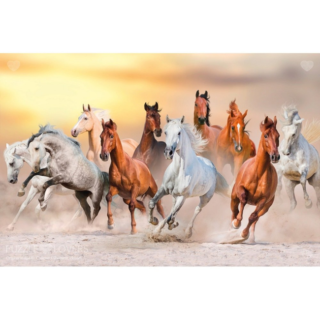 Пазлы - Пазл Tactic Дикие лошади 1000 элементов (56754)#2