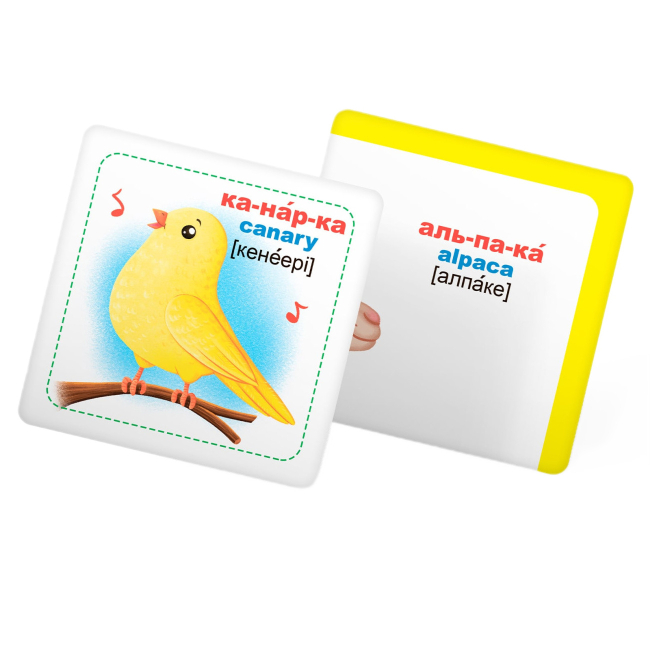 Обучающие игрушки - Умные карты Crystal Book Домашние животные 30 штук (9789669875358)#9