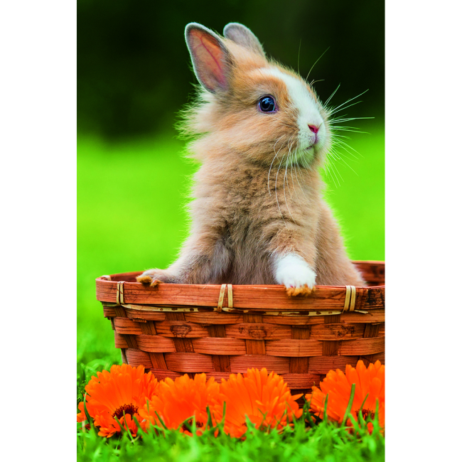 Пазлы - Пазл Trefl Mini Милые животные 54 элемента в ассортименте (54195)#3