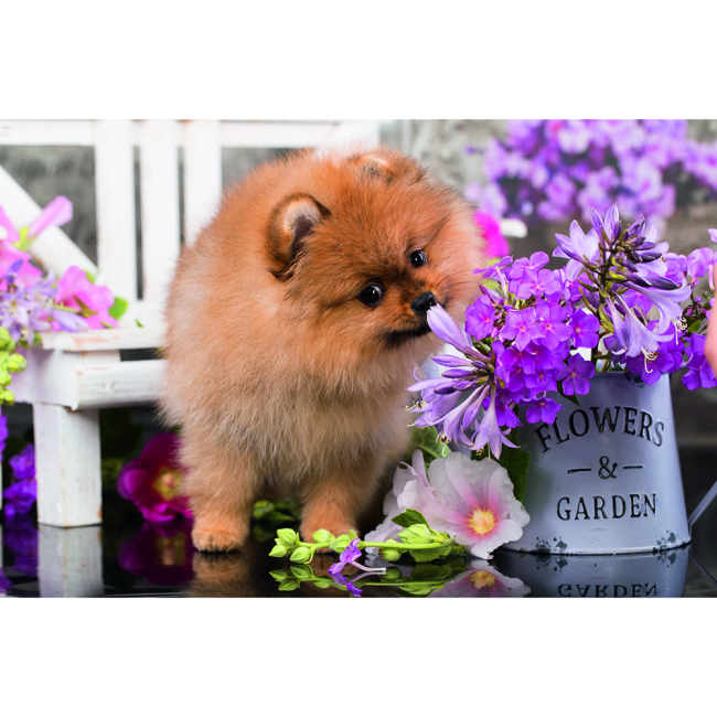 Пазлы - Пазл Trefl Mini Милые животные 54 элемента в ассортименте (54195)#5