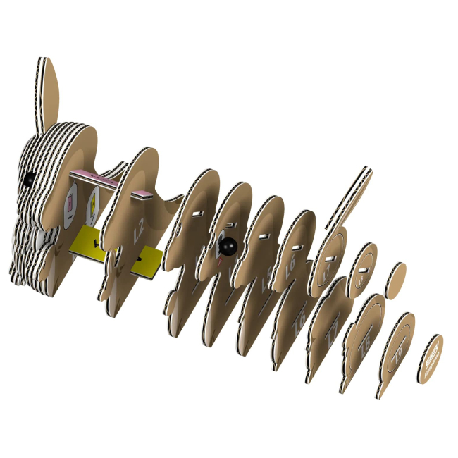 3D-пазли - 3D пазл Eugy Зоопарк Кенгуру (XEG-015)#2