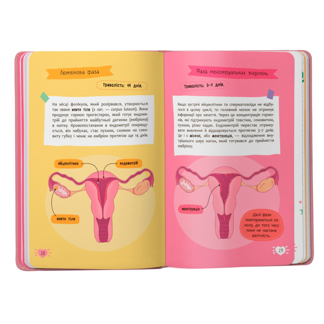 Пізнавальні книги (4-10 років) - Книжка «Путівник підлітка. Усе про місячні» (9786175475126)#6