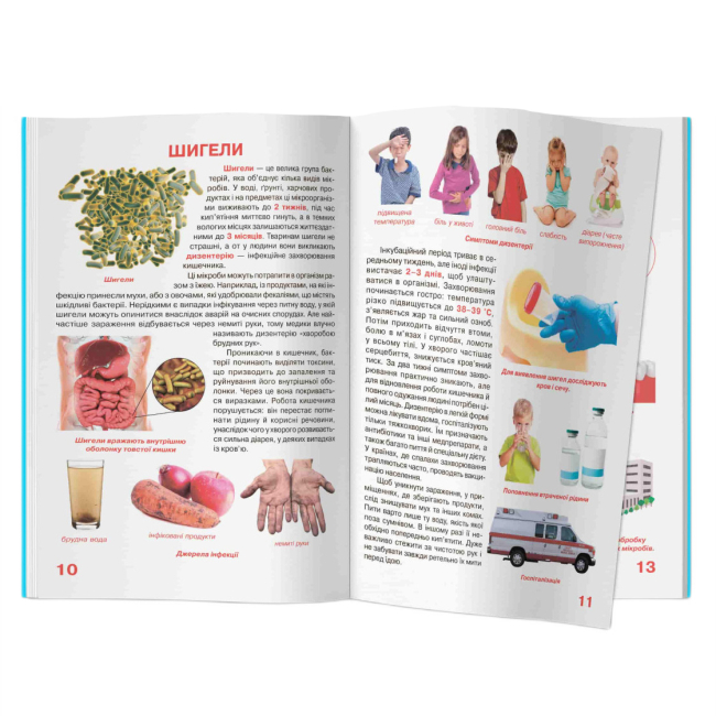 Пізнавальні книги (4-10 років) - Книжка «Велика книжка. Бактерії» (9789669875433)#3