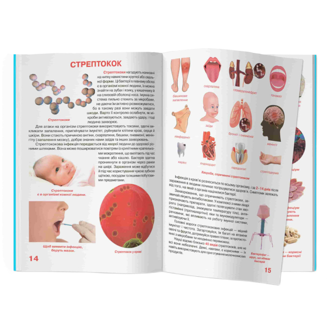Пізнавальні книги (4-10 років) - Книжка «Велика книжка. Бактерії» (9789669875433)#4