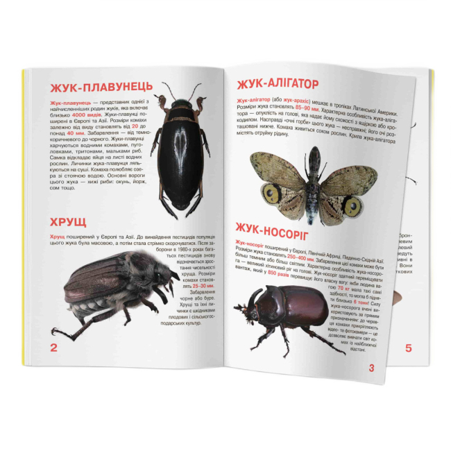 Пізнавальні книги (4-10 років) - Книжка «Велика книжка. Жуки» (9789669367044)#2