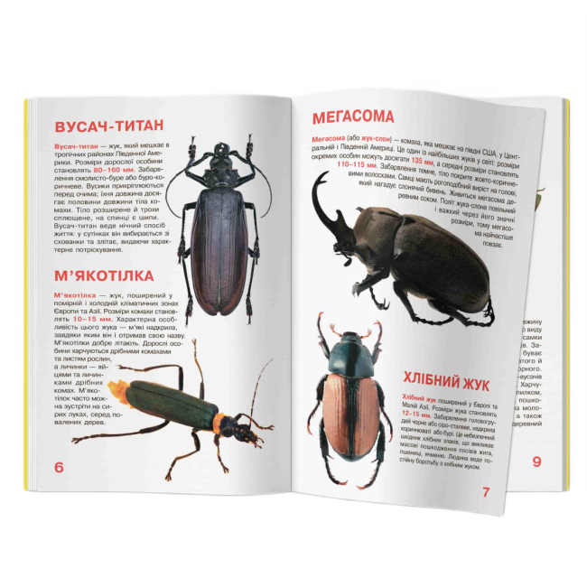 Пізнавальні книги (4-10 років) - Книжка «Велика книжка. Жуки» (9789669367044)#3