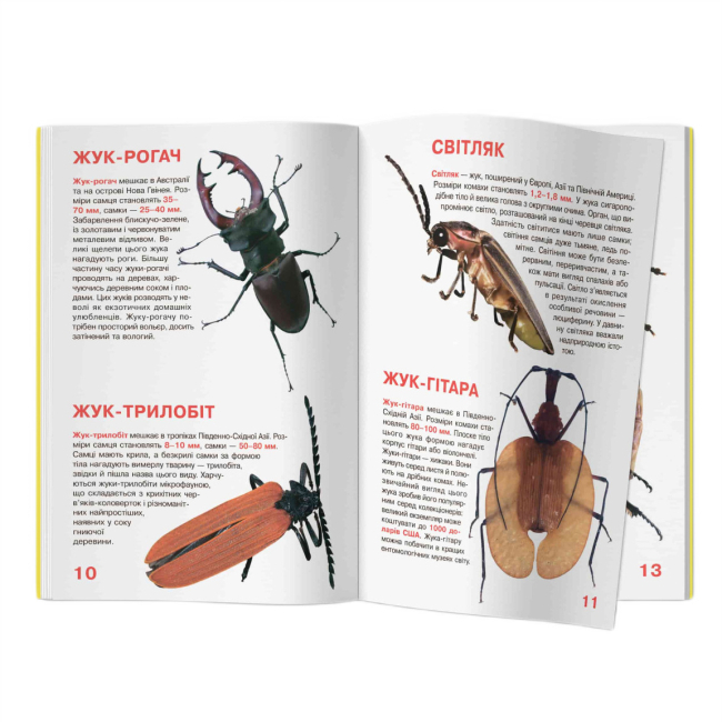 Пізнавальні книги (4-10 років) - Книжка «Велика книжка. Жуки» (9789669367044)#4