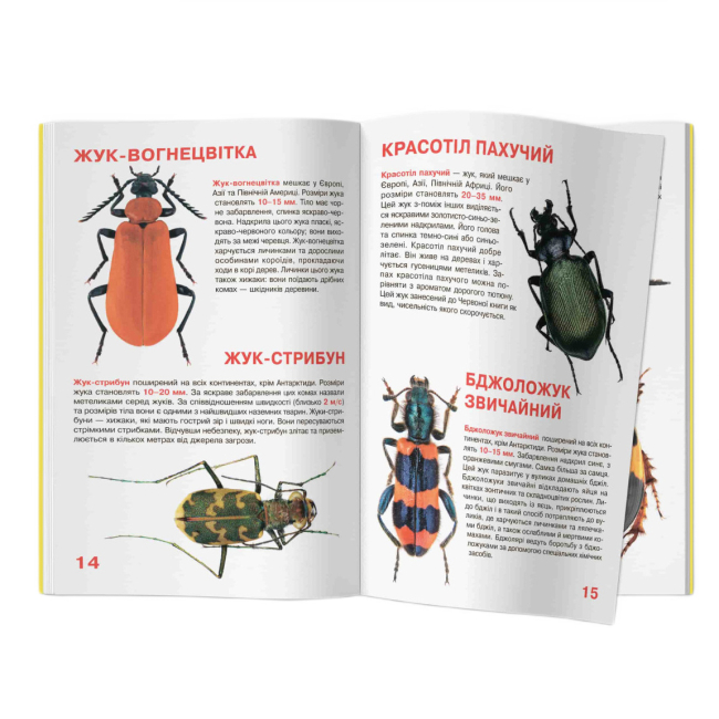 Пізнавальні книги (4-10 років) - Книжка «Велика книжка. Жуки»  (9789669367044)#5