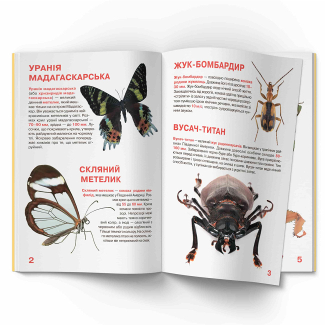 Пізнавальні книги (4-10 років) - Книжка «Велика книжка. Комахи» (9789669363824)#2