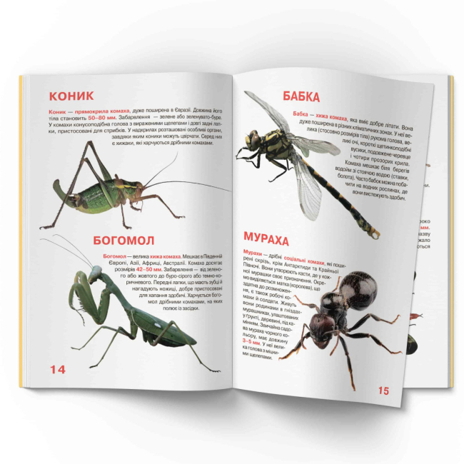 Пізнавальні книги (4-10 років) - Книжка «Велика книжка. Комахи»  (9789669363824)#5