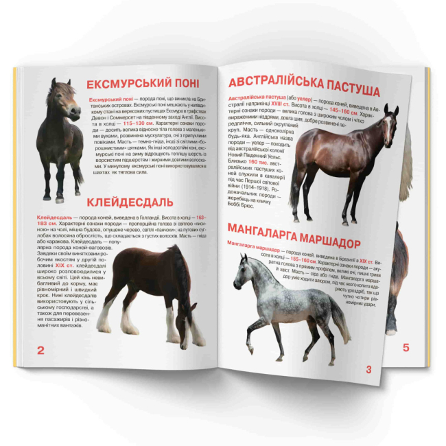 Пізнавальні книги (4-10 років) - Книжка «Велика книжка. Коні і поні»  (9786177352258)#2