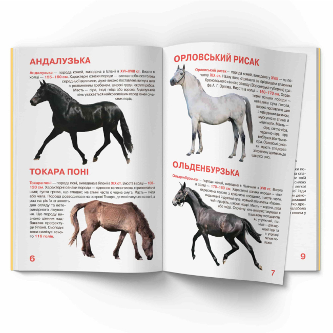 Пізнавальні книги (4-10 років) - Книжка «Велика книжка. Коні і поні»  (9786177352258)#3