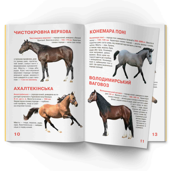 Пізнавальні книги (4-10 років) - Книжка «Велика книжка. Коні і поні»  (9786177352258)#4