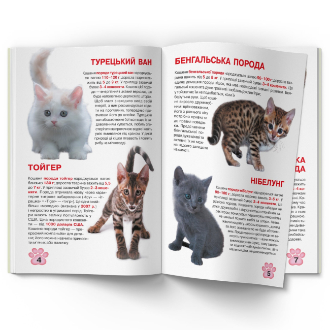 Пізнавальні книги (4-10 років) - Книжка «Велика книжка. Кошенята» (9789669367709)#3