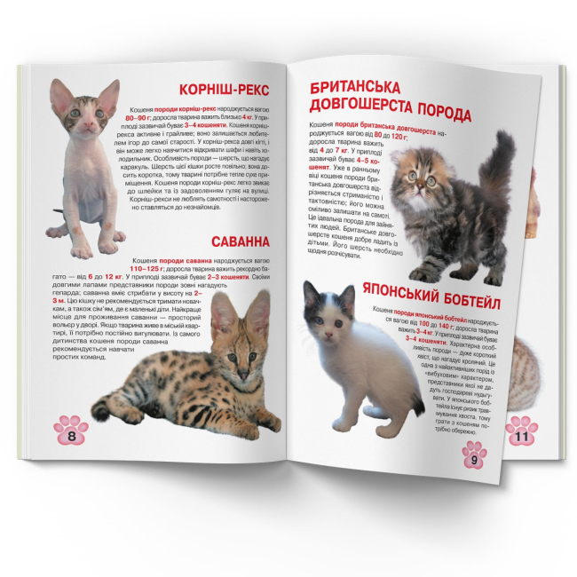 Пізнавальні книги (4-10 років) - Книжка «Велика книжка. Кошенята» (9789669367709)#4