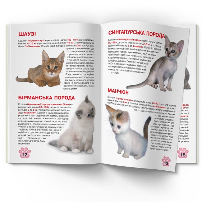 Пізнавальні книги (4-10 років) - Книжка «Велика книжка. Кошенята» (9789669367709)#5