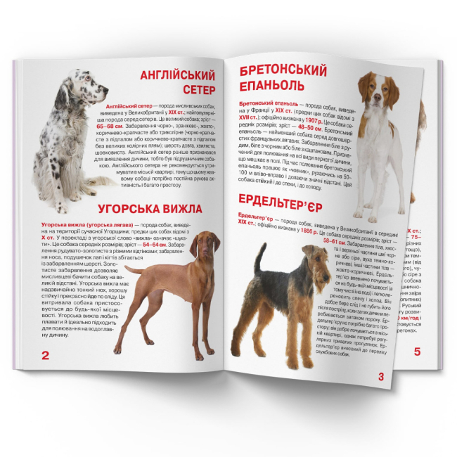 Пізнавальні книги (4-10 років) - Книжка «Велика книжка. Мисливські собаки» (9789669361165)#2