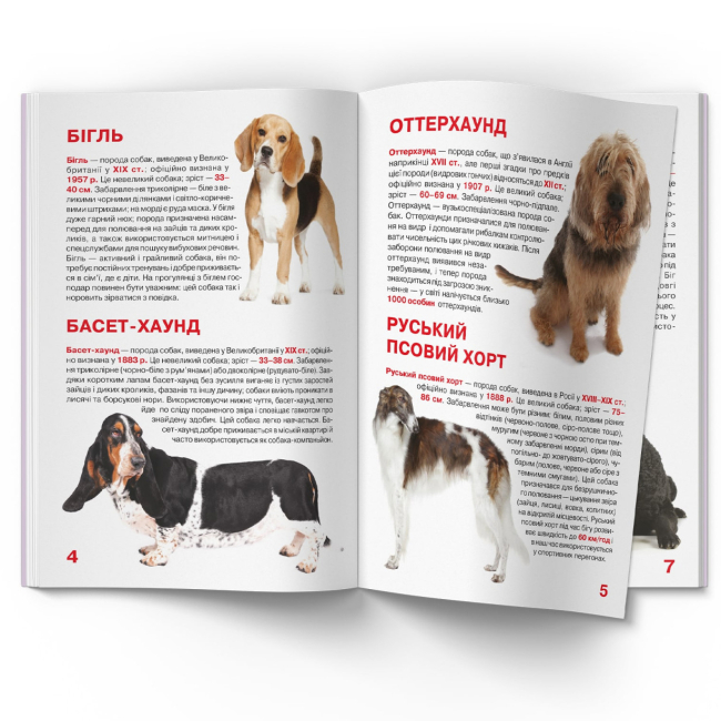Пізнавальні книги (4-10 років) - Книжка «Велика книжка. Мисливські собаки» (9789669361165)#3