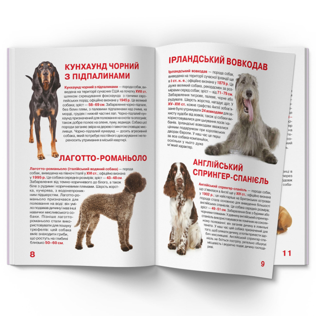 Пізнавальні книги (4-10 років) - Книжка «Велика книжка. Мисливські собаки» (9789669361165)#4
