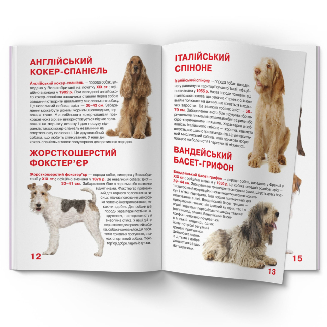 Пізнавальні книги (4-10 років) - Книжка «Велика книжка. Мисливські собаки» (9789669361165)#5